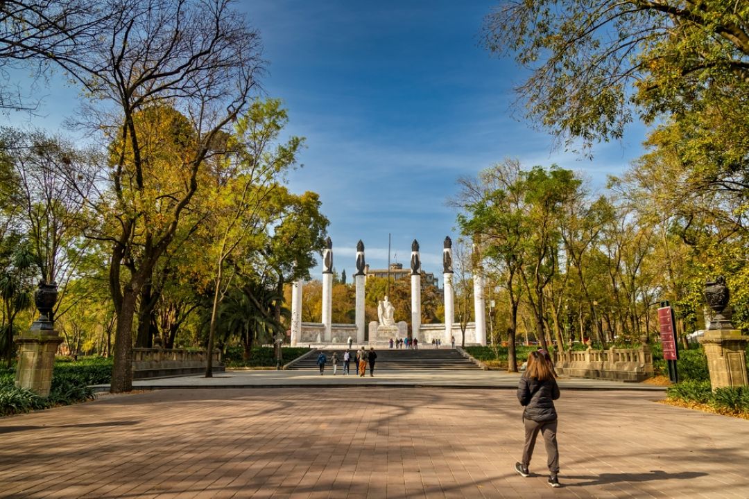 Designa Is Part of the Evolution of the Third Section of the Bosque de Chapultepec Through the Implementation of Smart Technology for Its Parking Lots.
