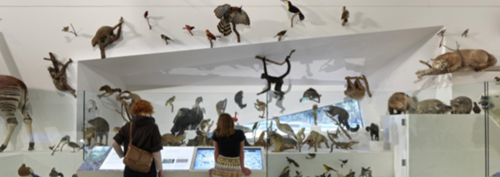 Melbourne Museum learns from their customers to improve the overall customer experience, starting with parking 