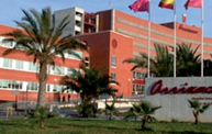 Arrixaca Hospital, Spain with palm tree in foreground