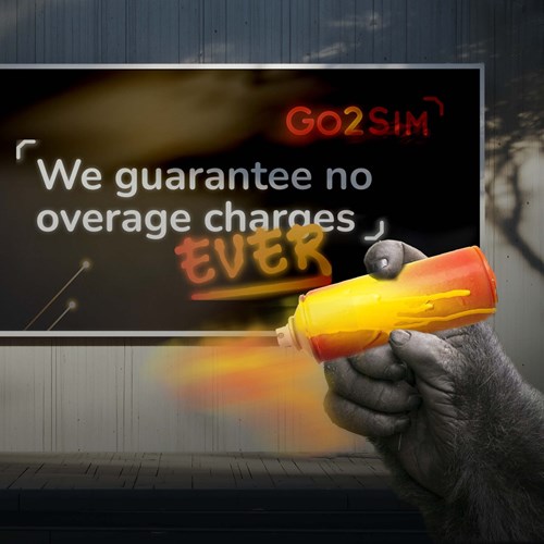 Go2Sim No overage charges with go2sim