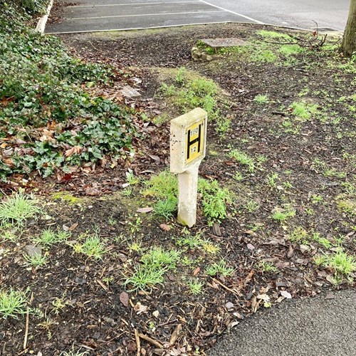 IC2 Mark post covert camera