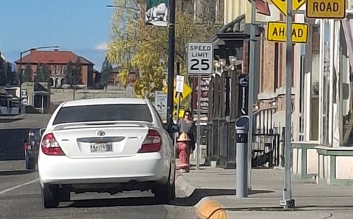 Deployed SafetyStick located at the intersection of Park and Montana Streets SafetyStick located on the streets