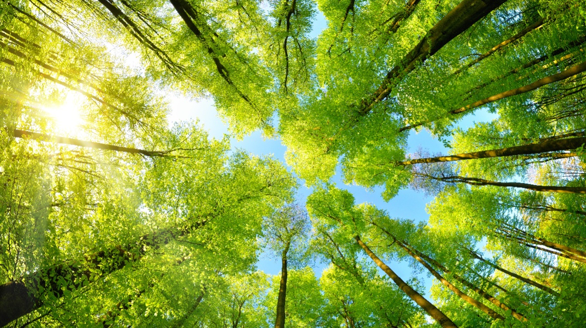 PayByPhone is committed to partner with cities to help make the sustainability journey simpler.