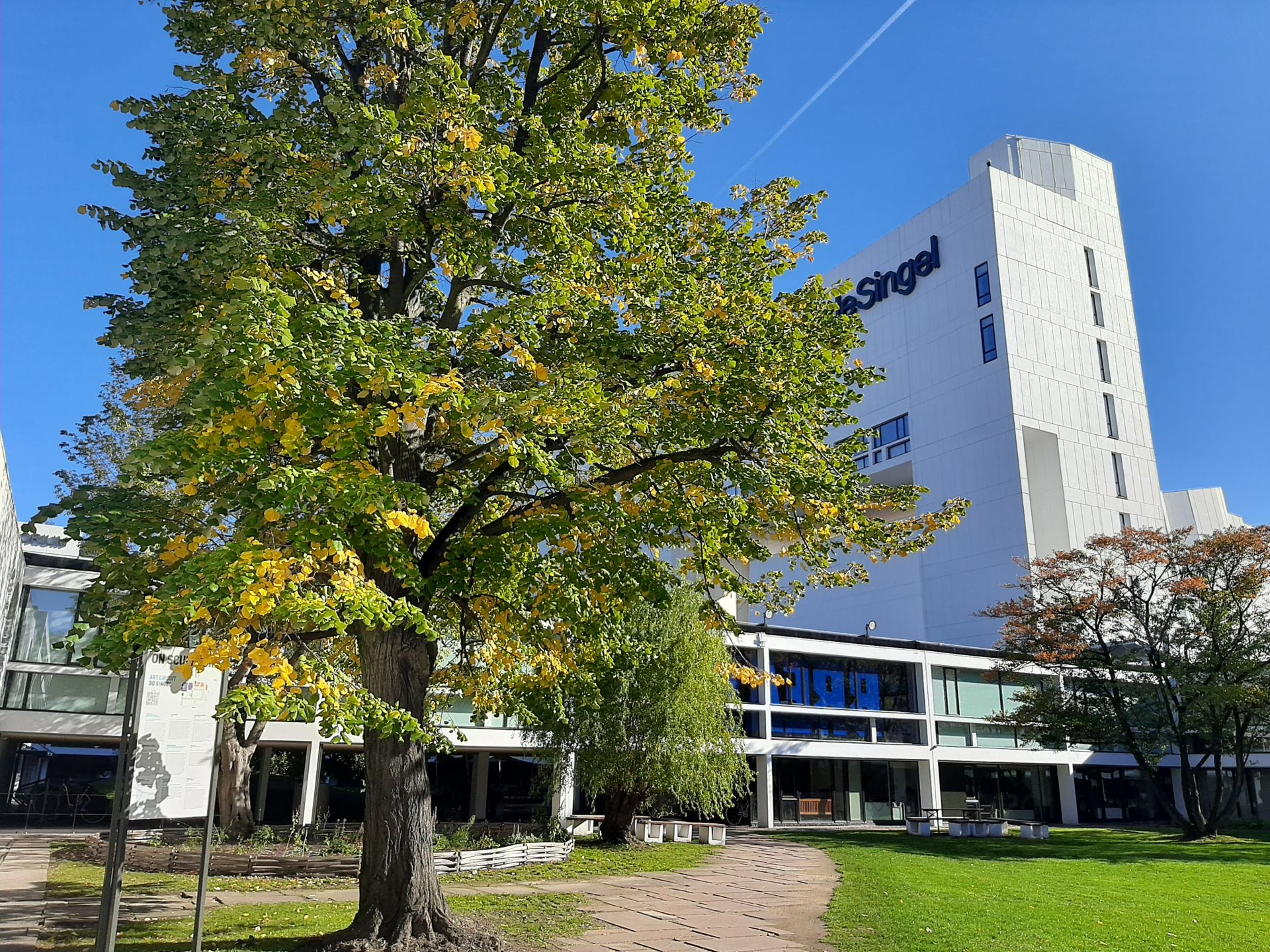 The two car parks at DE SINGEL are used by students and teachers of the Royal Conservatoire, visitors of the art site and employees of DE SINGEL.